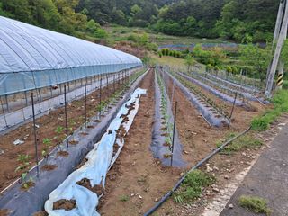 곽덕순님의 자유주제 · 자유게시판 작성글 사진