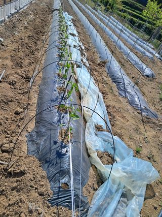 곽덕순님의 자유주제 · 자유게시판 작성글 사진