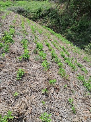 곽덕순님의 자유주제 · 자유게시판 작성글 사진