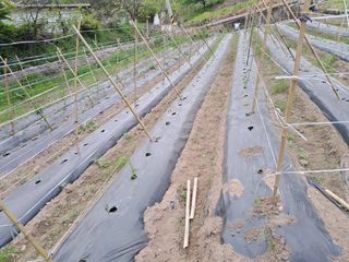 곽덕순님의 자유주제 · 자유게시판 작성글 사진