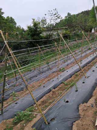 곽덕순님의 자유주제 · 자유게시판 작성글 사진