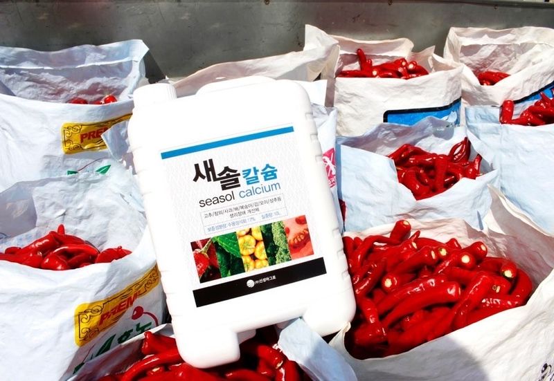 장터 상품 [새솔칼슘 10L] 썸네일