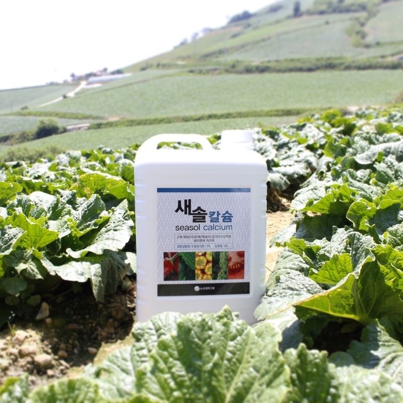 파비클님의 장터 판매 상품 [새솔칼슘 10L] 첨부 사진