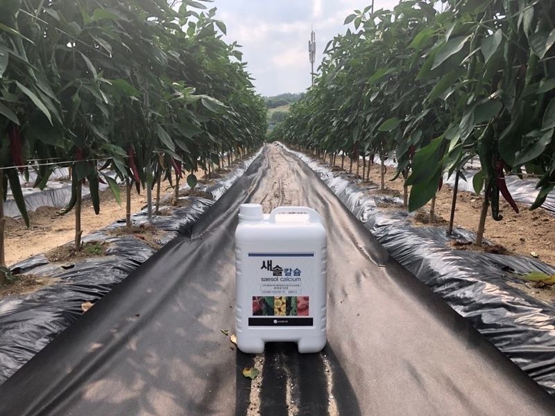 파비클님의 장터 판매 상품 [새솔칼슘 10L] 첨부 사진