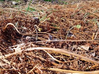 지리산A하우스님의 작성글 사진