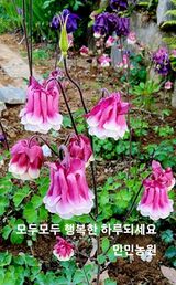 팜모닝 자유주제·자유게시판 게시글 이미지