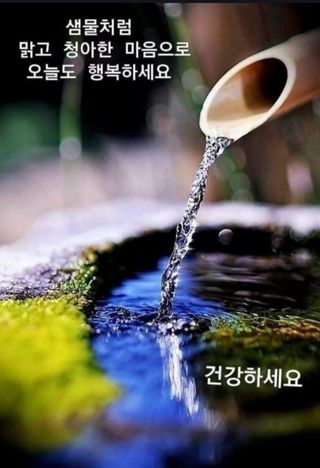 민민농원님의 자유주제 · 자유게시판 작성글 사진
