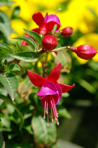 민민농원님의 자유주제 · 자유게시판 작성글 사진