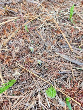 임태빈탑정호주말농장님의 자유주제 · 칭찬해요 작성글 사진