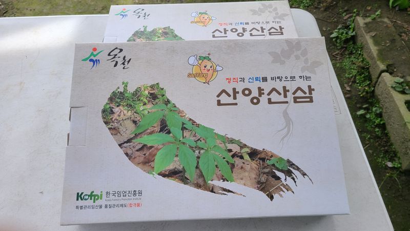 문진용(해오름달)님의 장터 판매 상품 [산양삼10년이상 6뿌리 1박스] 첨부 사진