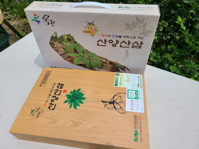 문진용(해오름달)님의 장터 판매 상품 [산양삼10년이상 6뿌리 1박스] 첨부 사진