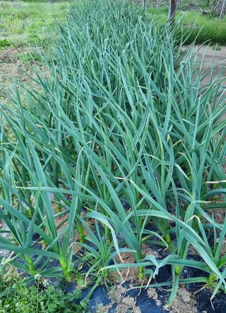 여백님의 자유주제 · 사진전 작성글 사진