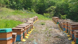 김대석님의 자유주제 · 자유게시판 작성글 사진