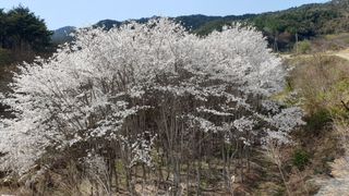 김대석님의 자유주제 · 자유게시판 작성글 사진