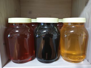 김대석님의 자유주제 · 자유게시판 작성글 사진