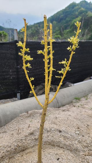 김미라님의 자유주제 · 자유게시판 작성글 사진