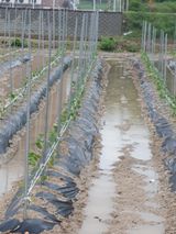 팜모닝 자유주제·자유게시판 게시글 이미지