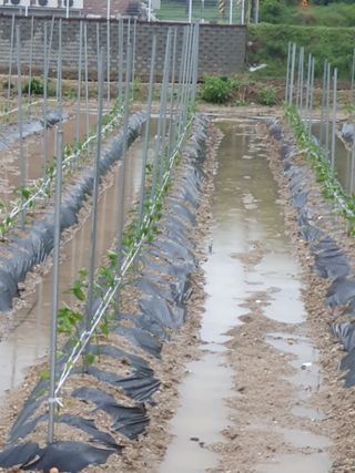 장순영님의 자유주제 · 자유게시판 작성글 사진
