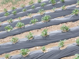 장순영님의 자유주제 · 자유게시판 작성글 사진