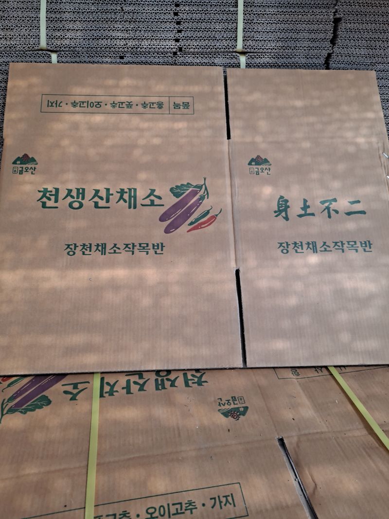 장터 상품 [고추 박스장당700원 10k] 썸네일