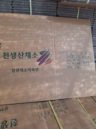 김순국님의 작성글 사진