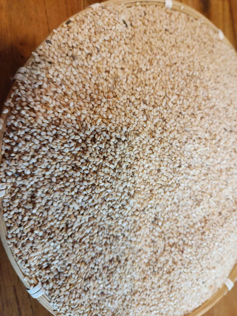 석송호두농원님의 장터 판매 상품 [참깨 1kg] 첨부 사진