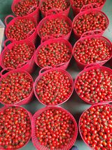 팜모닝 · 게시글 이미지