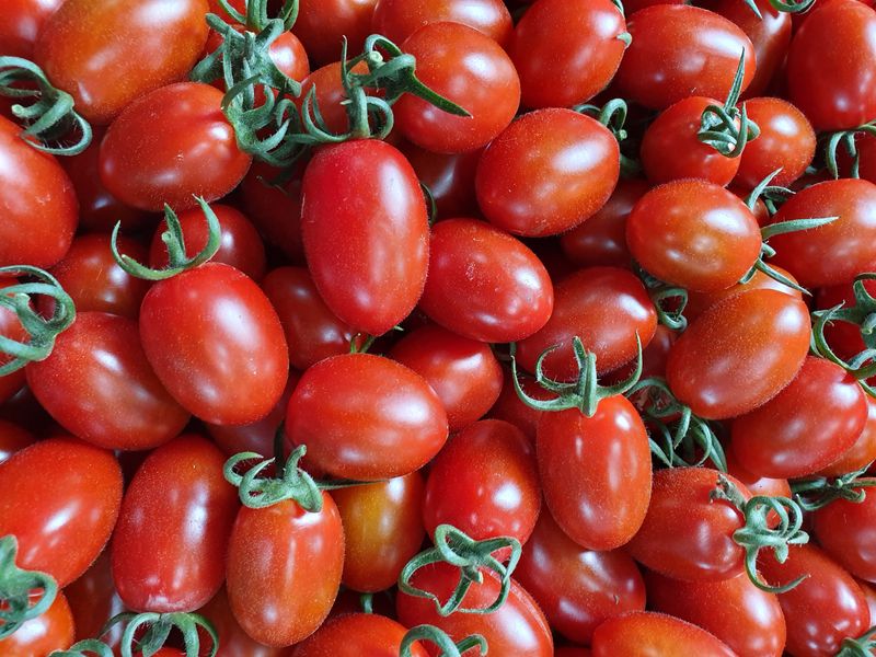 써니네님의 장터 판매 상품 [맛보장 맛있는 그대추방울토마토1키로  14000] 첨부 사진