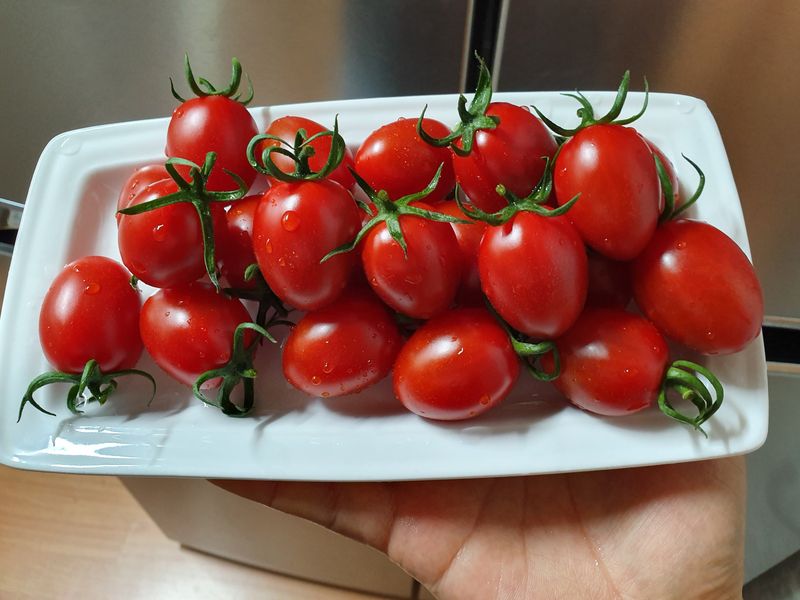 써니네님의 장터 판매 상품 [맛보장 맛있는 그대추방울토마토1키로  14000] 첨부 사진