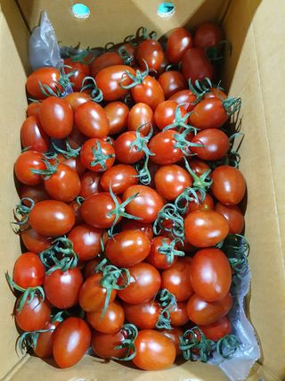 써니네님의 작성글 사진