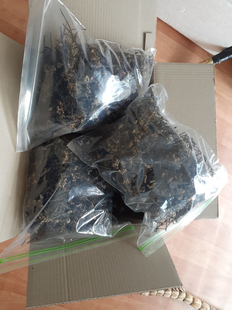 김연수님의 장터 판매 상품 [건 고사리600g] 첨부 사진