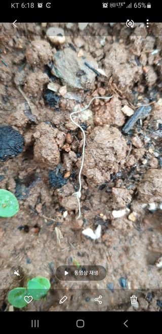 알 수 없음님의 자유주제 · 자유게시판 작성글 사진