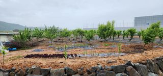 박필진님의 자유주제 · 자유게시판 작성글 사진