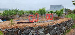 박필진님의 자유주제 · 자유게시판 작성글 사진