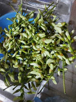 봉우재농부님의 자유주제 · 자유게시판 작성글 사진