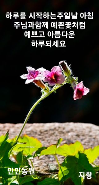 민민농원님의 자유주제 · 자유게시판 작성글 사진