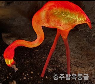 민민농원님의 자유주제 · 자유게시판 작성글 사진