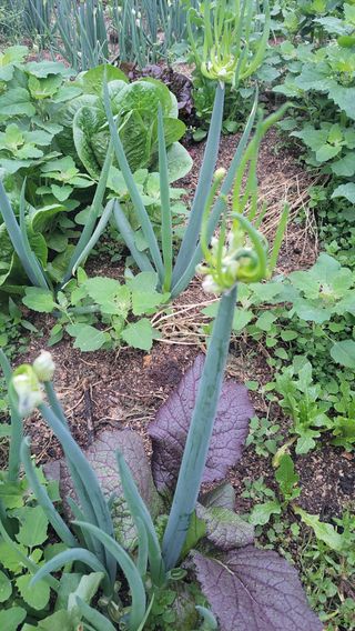 원명옥님의 작성글 사진