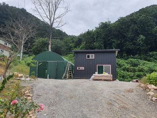 늘항상한결님의 감자 · 자유게시판 작성글 사진