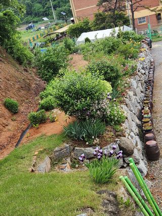 HYUN님의 들깨 · 자유게시판 작성글 사진