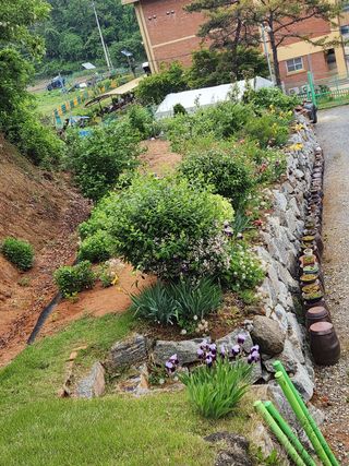 HYUN님의 들깨 · 자유게시판 작성글 사진