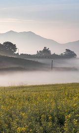 팜모닝 자유주제·자유게시판 게시글 이미지
