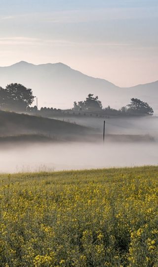 민민농원님의 자유주제 · 자유게시판 작성글 사진