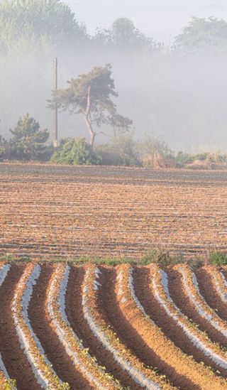 민민농원님의 자유주제 · 자유게시판 작성글 사진