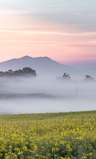 민민농원님의 자유주제 · 자유게시판 작성글 사진
