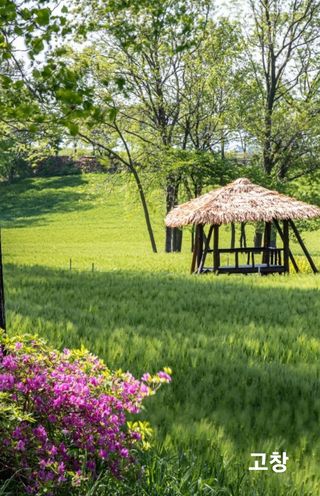 민민농원님의 자유주제 · 자유게시판 작성글 사진