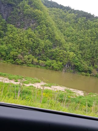 홍&이님의 블루베리 · 자유게시판 작성글 사진