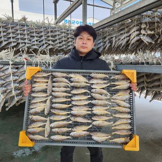 임성환님의 장터이야기 · 자유게시판 작성글 사진