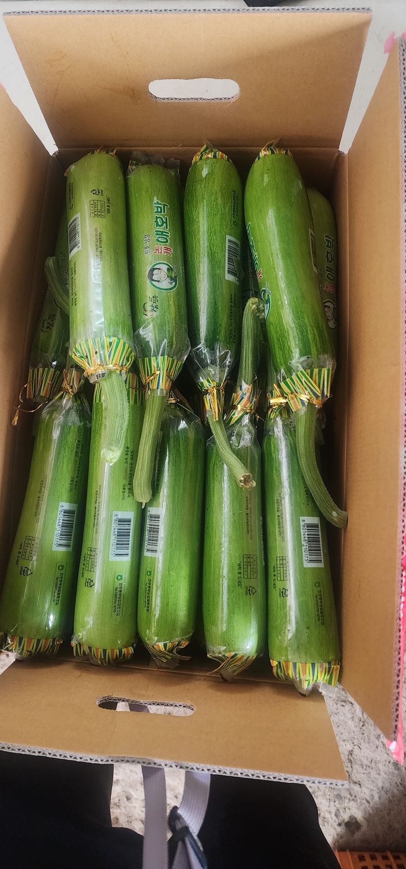 김기태님의 장터 판매 상품 [친환경 무농약 애호박B품 판매] 첨부 사진