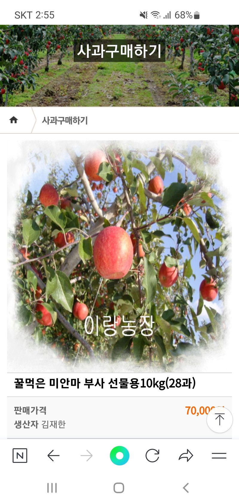 장터 상품 [선물용 사과 10kg *특*(22~24과)] 썸네일